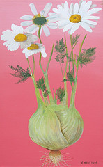 Mariage (fenouil et marguerite) la biodiversit par Christine Beth