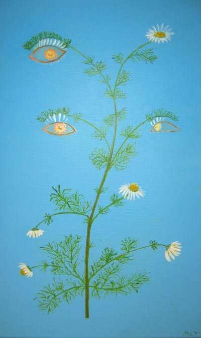 Camonille, bon pour les yeux !