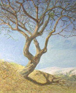 small exercice apple tree in the snow.lepommier.net