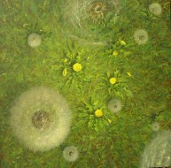 Dandelion2, click to see bigger picture 56k