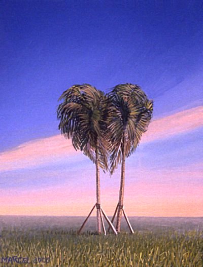 coeur de palmier, vu par Pierre Marcel