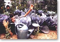 born among red cabbages? here with brother michel in Etrepagny