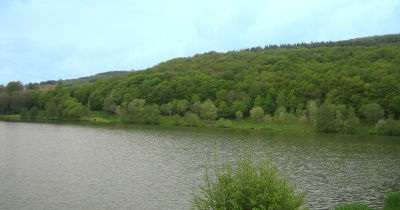 Le lac de Saint Point